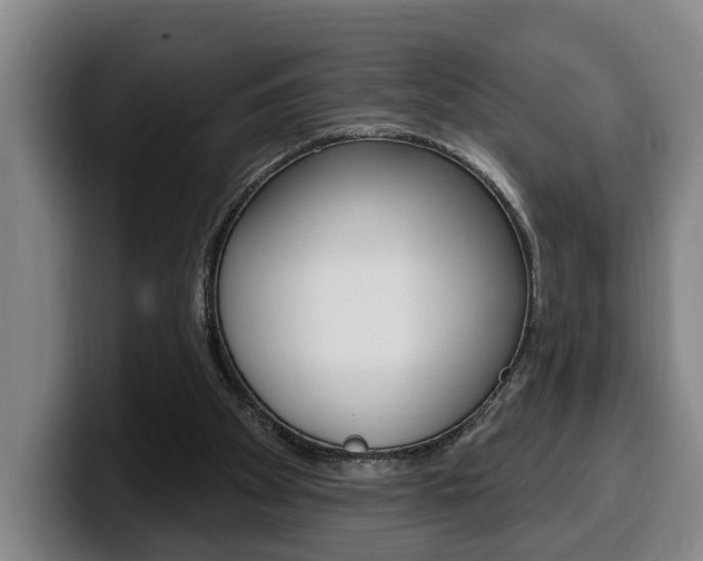 X0000100320105200806051358