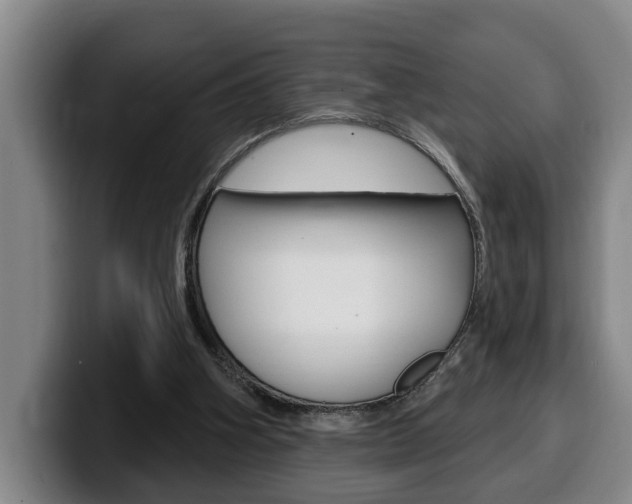 X0000100320106200806051358