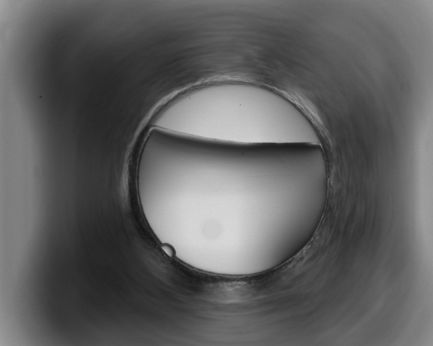 X0000100320108200806051358