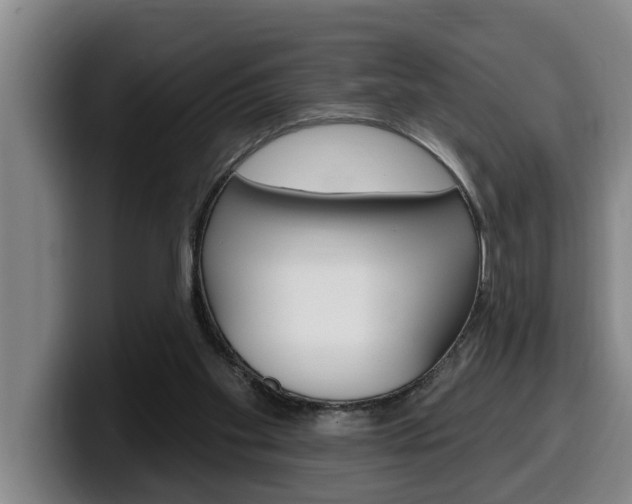 X0000100320109200806051358
