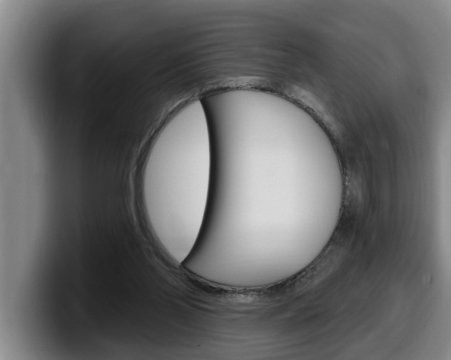 X0000100320110200806051358