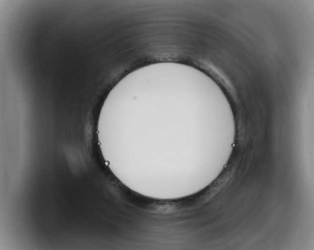X0000100320113200806051358