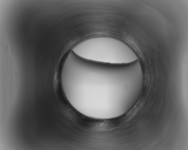 X0000100320116200806051358