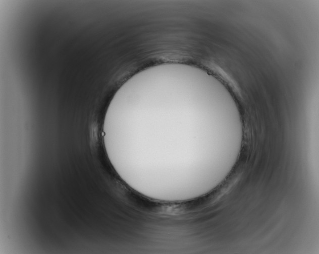 X0000100320117200806051358