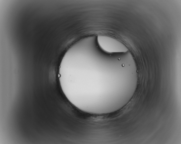 X0000100320120200806051358