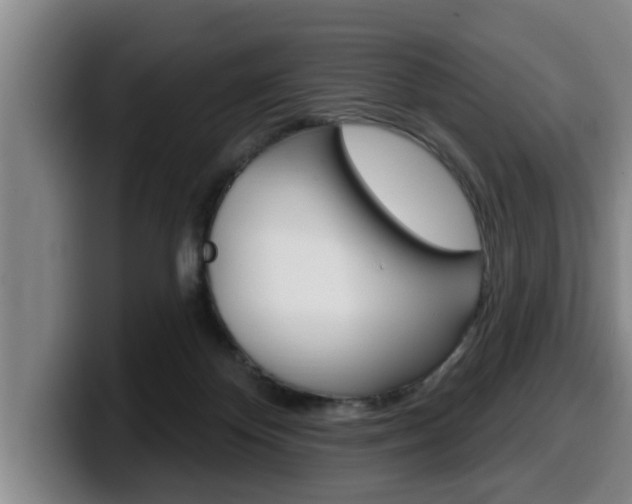 X0000100320124200806051358