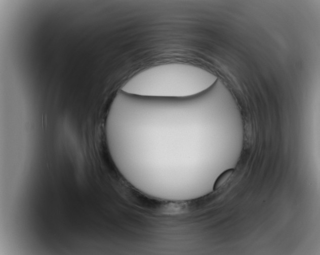 X0000100320126200806051358