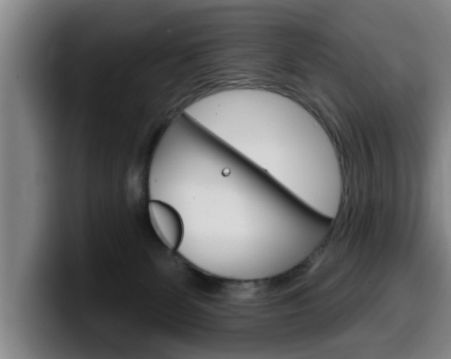 X0000100320131200806051358