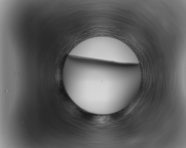 X0000100320135200806051358