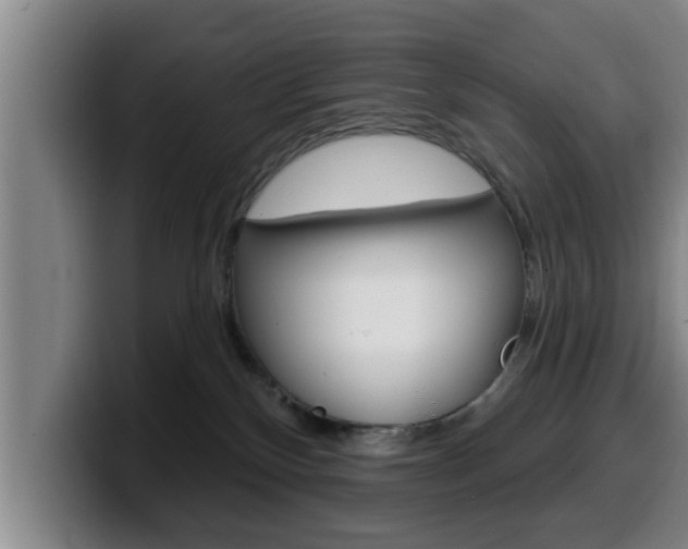 X0000100320136200806051358