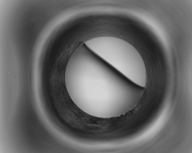 X0000100320143200806051358