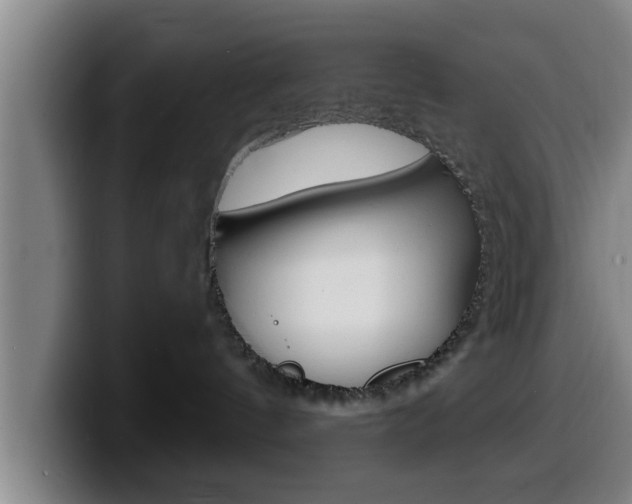 X0000100320144200806051358