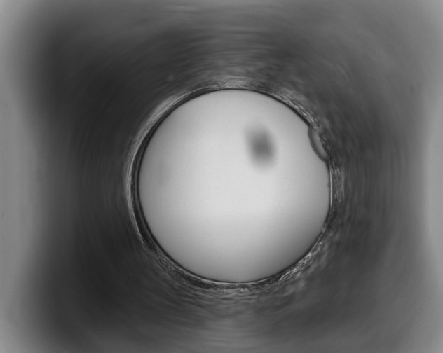 X0000100320147200806051357