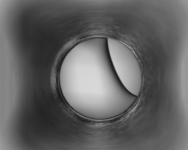 X0000100320149200806051357