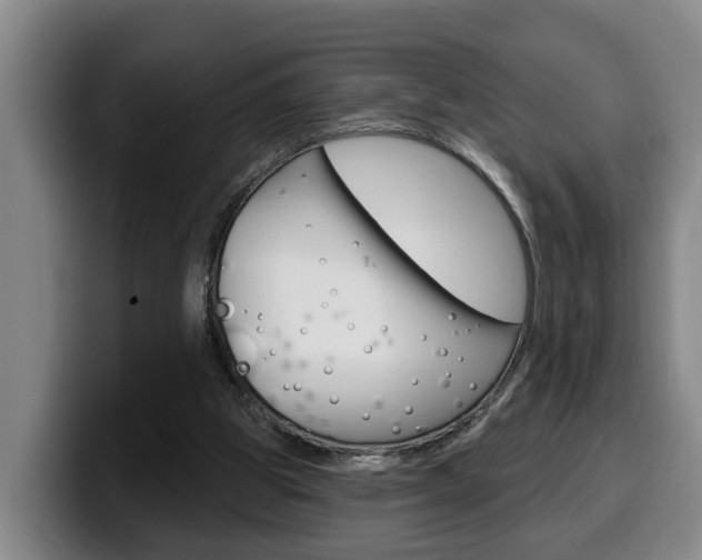 X0000100320153200806051357