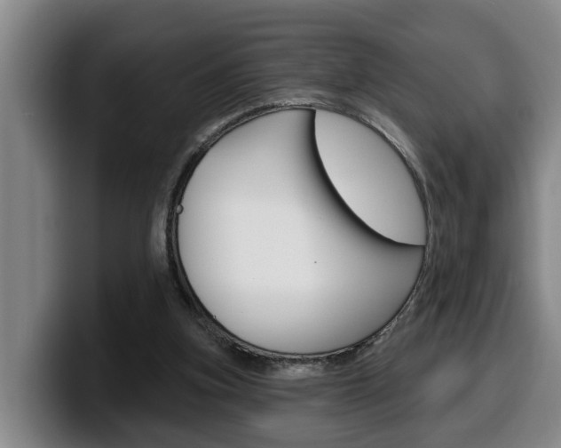 X0000100320155200806051357