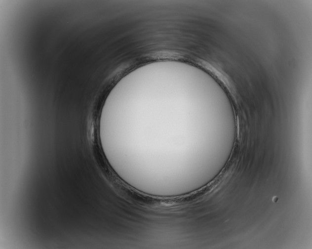 X0000100320157200806051357
