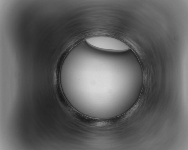 X0000100320158200806051357