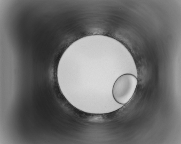X0000100320162200806051357
