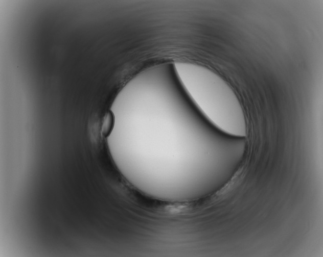 X0000100320172200806051357