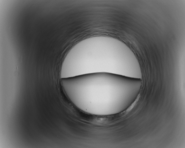 X0000100320174200806051357