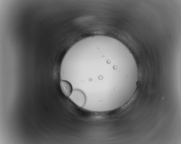 X0000100320175200806051357