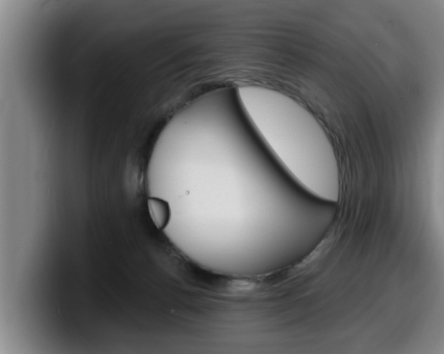 X0000100320176200806051357