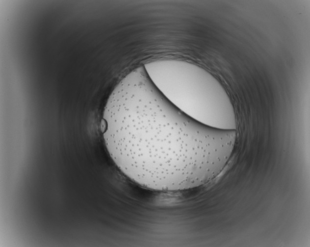 X0000100320179200806051357