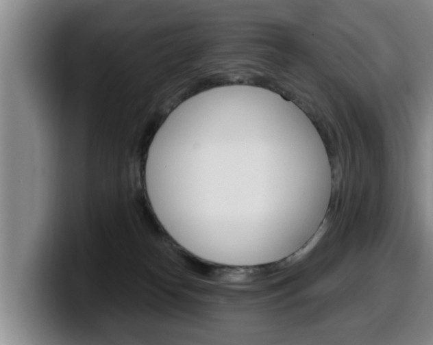 X0000100320182200806051357