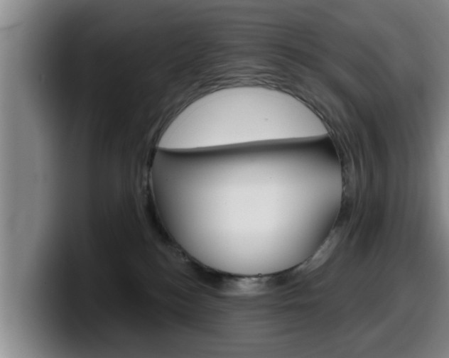X0000100320184200806051357