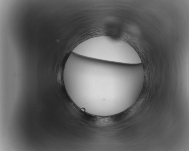 X0000100320185200806051357