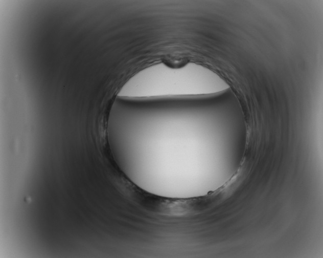 X0000100320186200806051357
