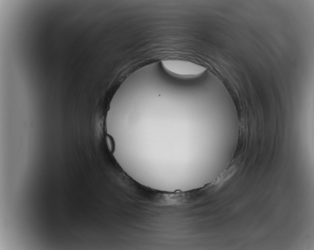 X0000100320188200806051358