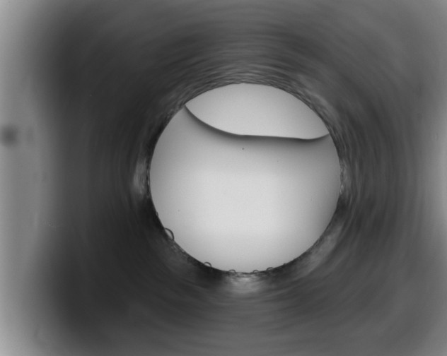 X0000100320189200806051358