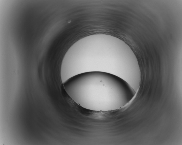 X0000100320190200806051358