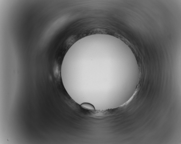 X0000100320191200806051358