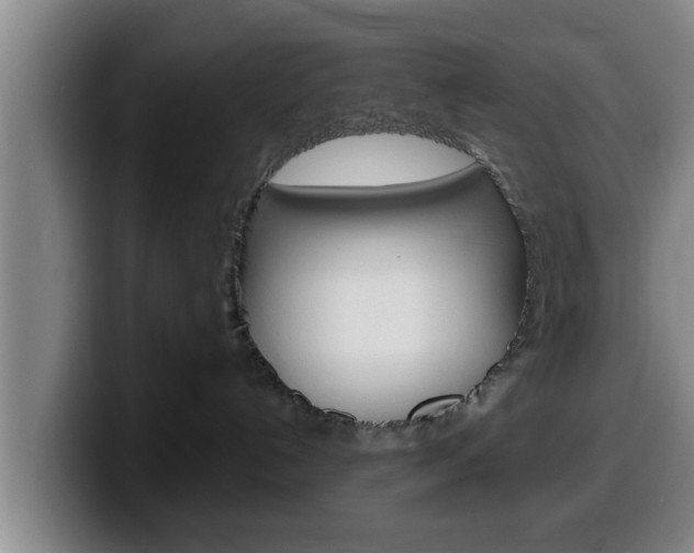X0000100320192200806051358