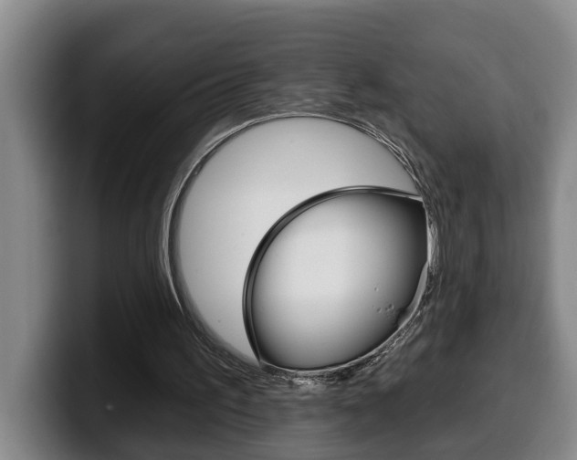 X0000100320195200806051357