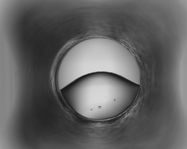 X0000100320197200806051357