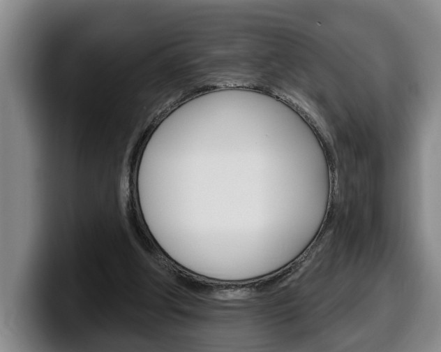 X0000100320202200806051357