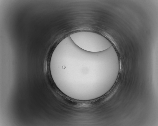 X0000100320205200806051357