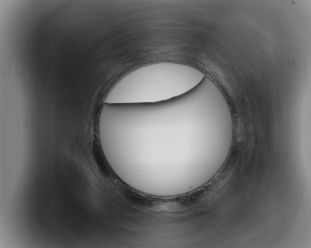 X0000100320210200806051357