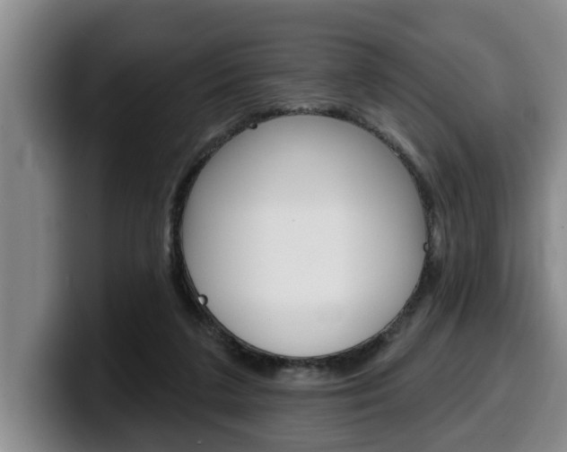 X0000100320211200806051357