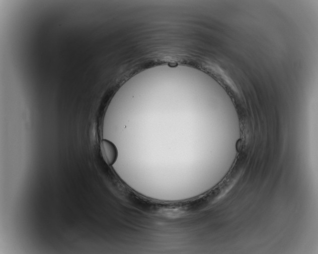 X0000100320213200806051357