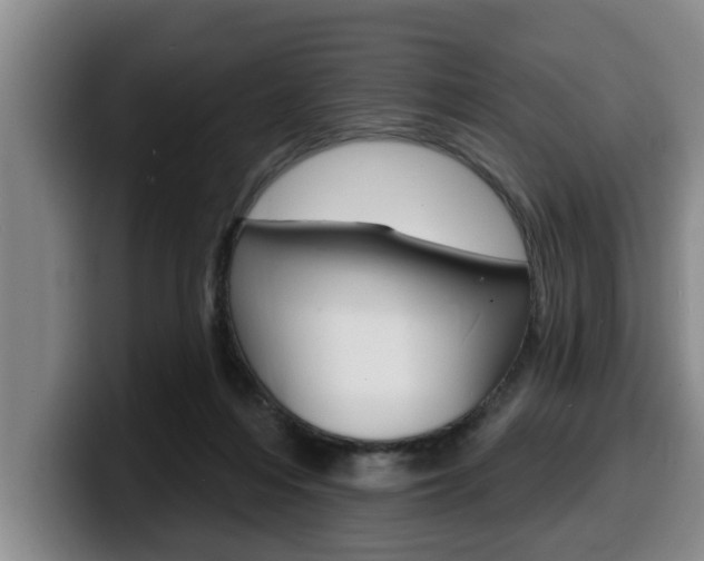 X0000100320216200806051357