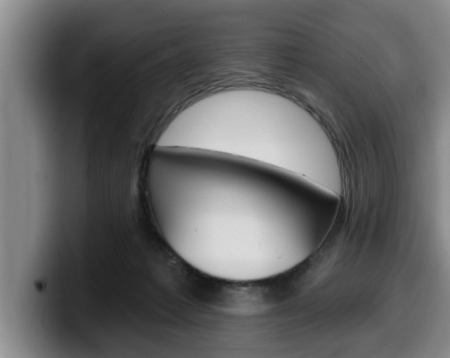 X0000100320221200806051357