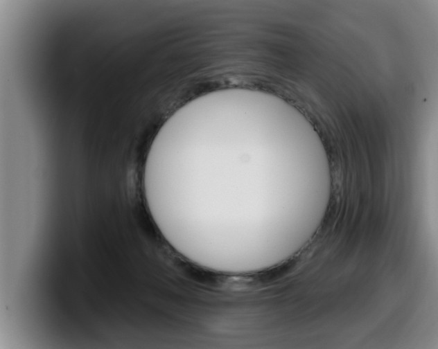 X0000100320222200806051356