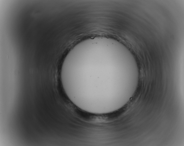 X0000100320223200806051356