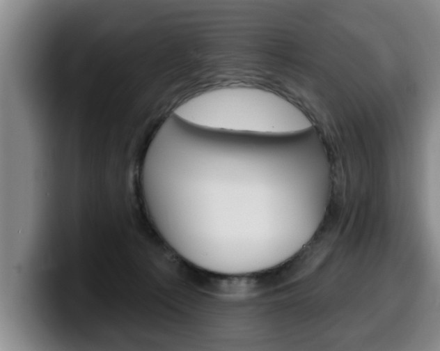 X0000100320225200806051356