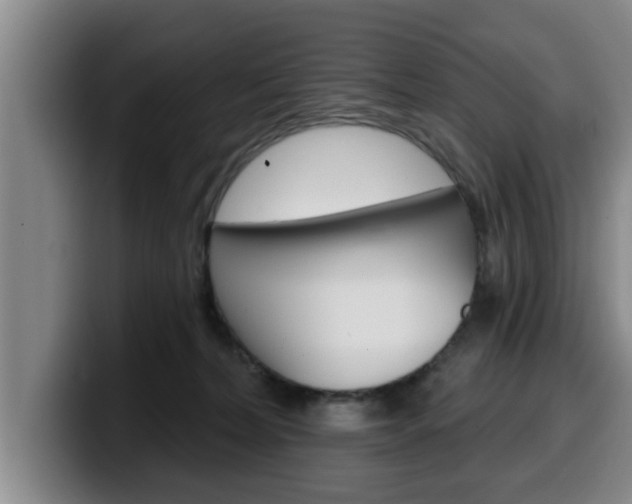 X0000100320228200806051356